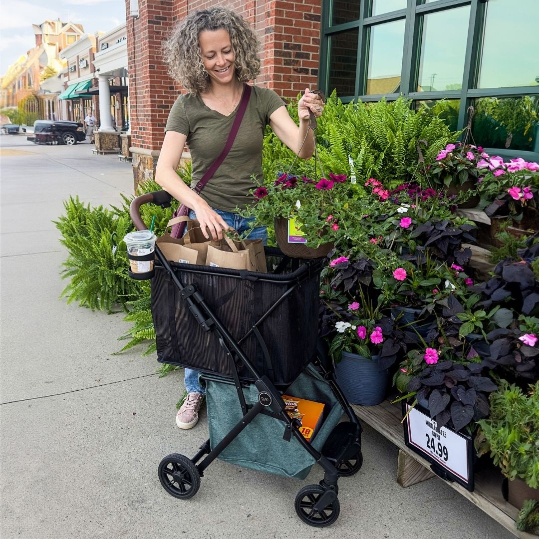 LINQ Cargo & Personal Shopping Cart