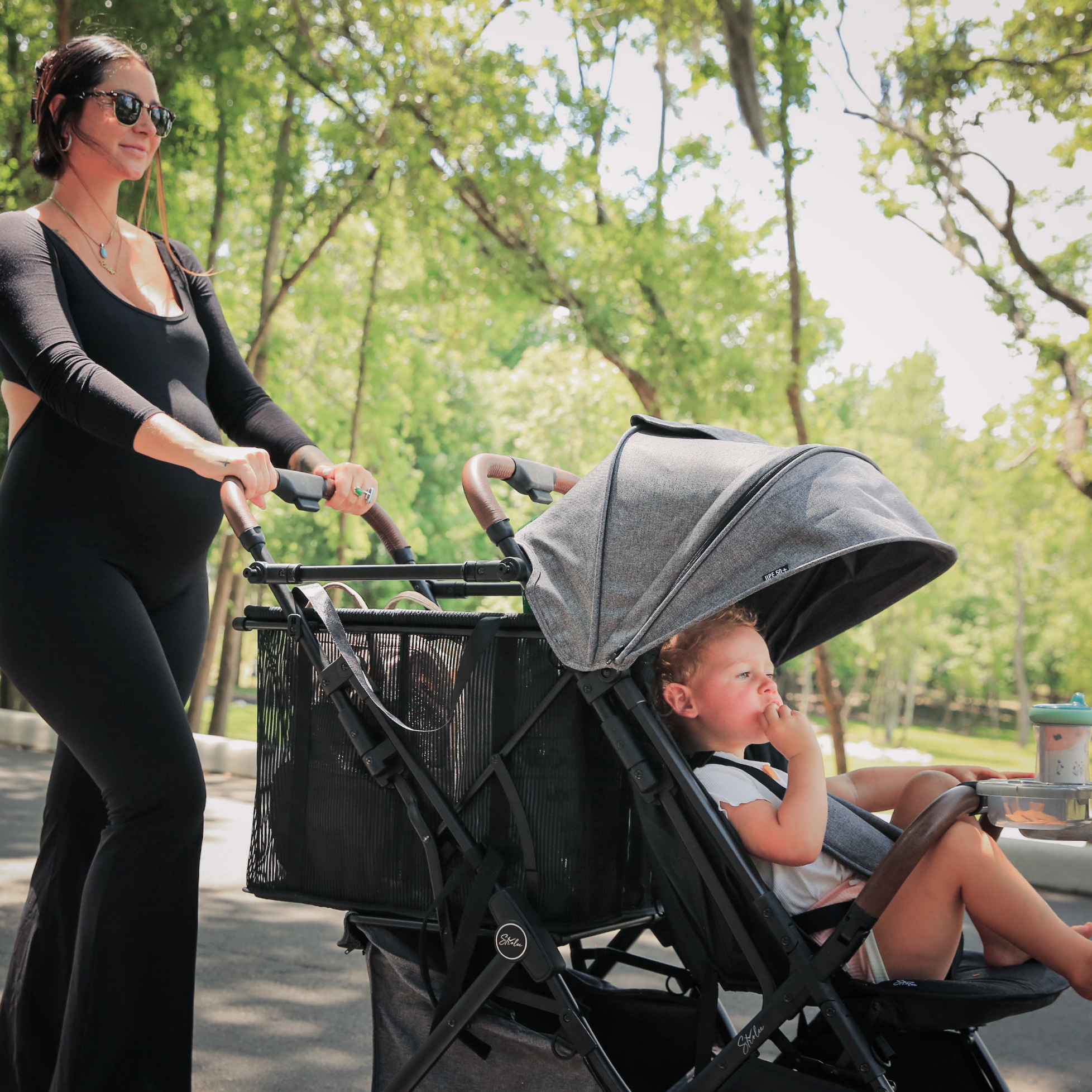 LINQ Cargo & Personal Shopping Cart