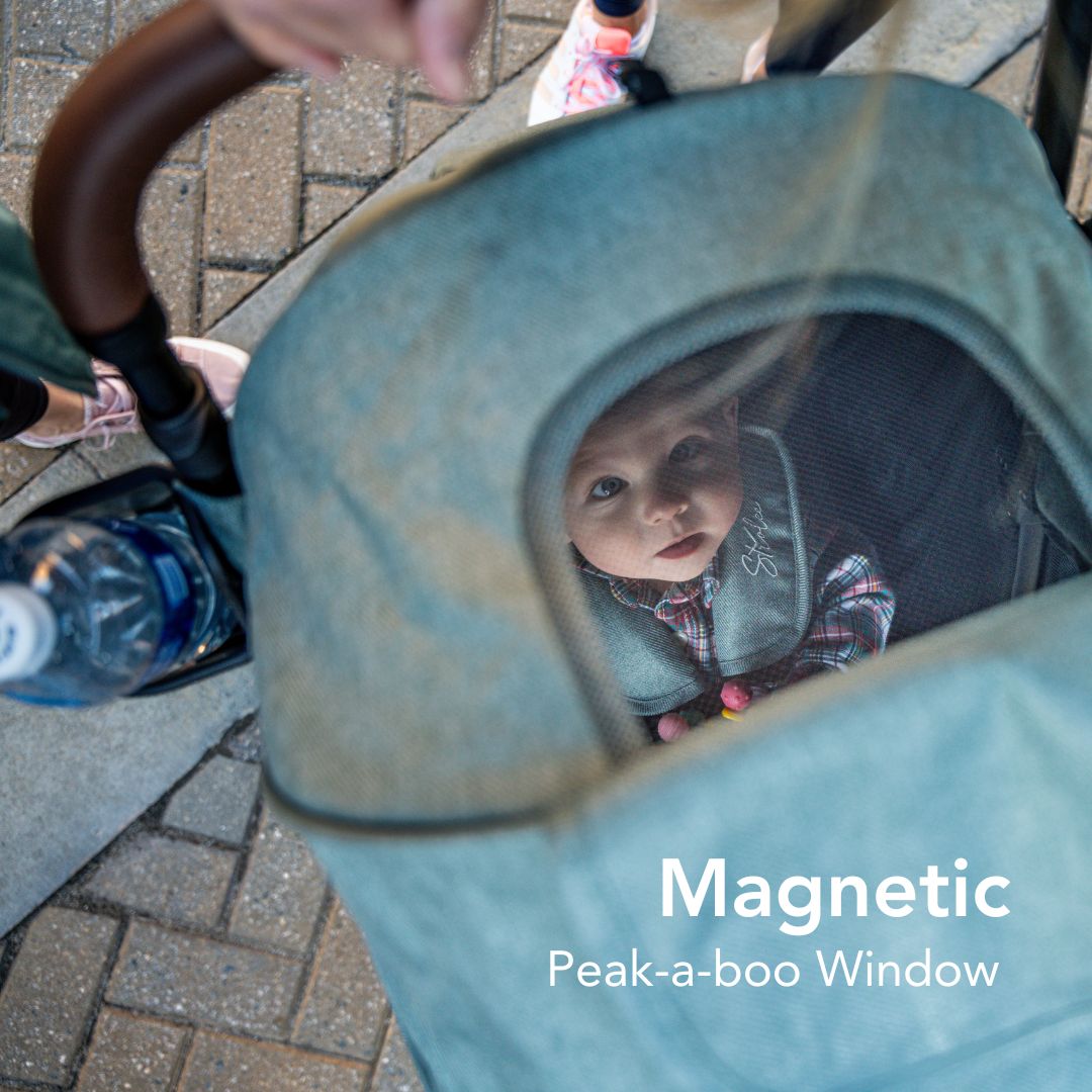 TikTok Special Everyday Travel Stroller v2