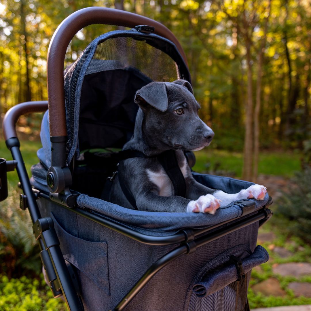 Baby+ Pet Bassinet Add On